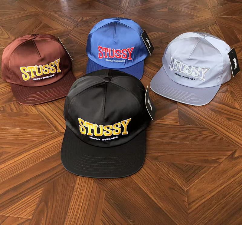 STUSSY CAPS (6)