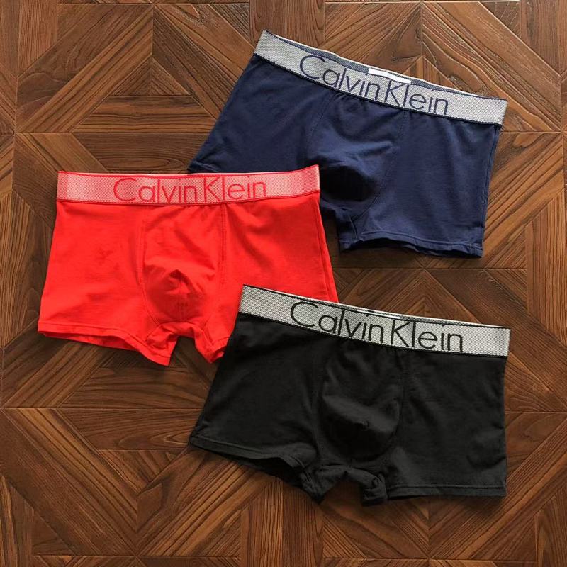 CALVIN KELIN UNDERPANTS (42)
