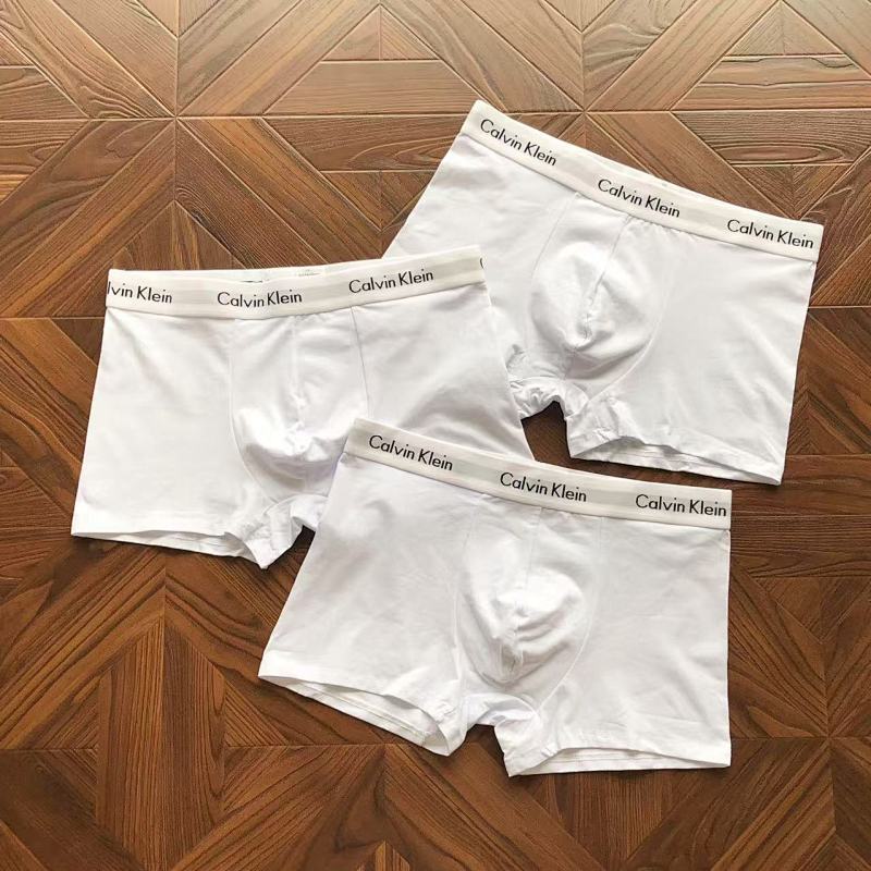 CALVIN KELIN UNDERPANTS (32)