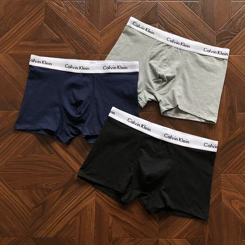 CALVIN KELIN UNDERPANTS (44)