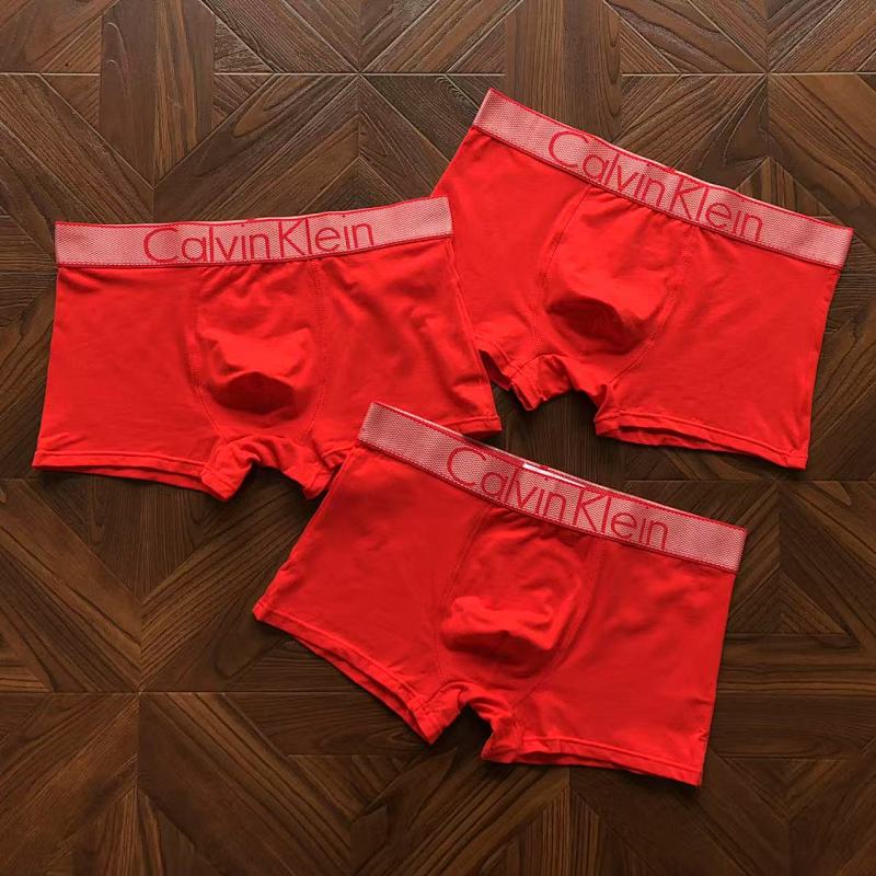 CALVIN KELIN UNDERPANTS (22)