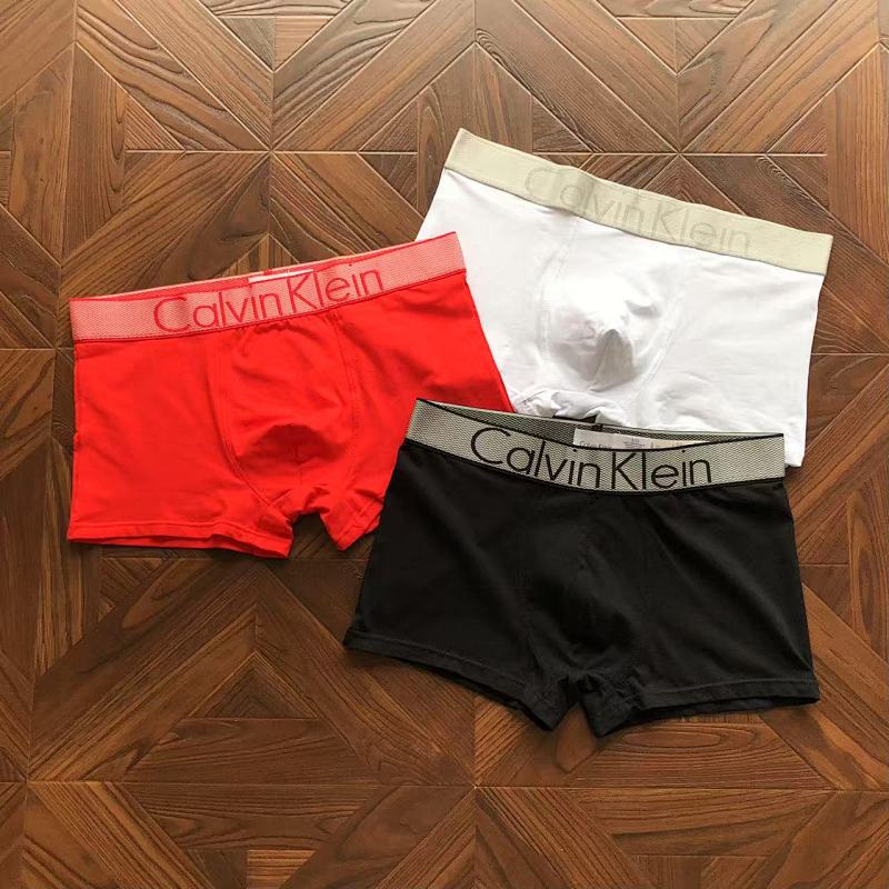 CALVIN KELIN UNDERPANTS (34)