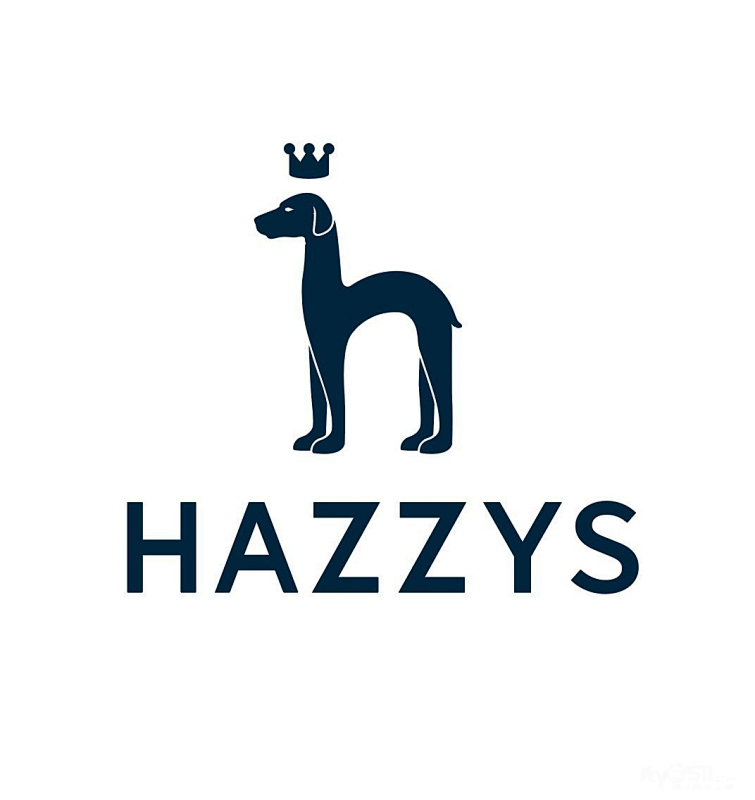 HAZZYS