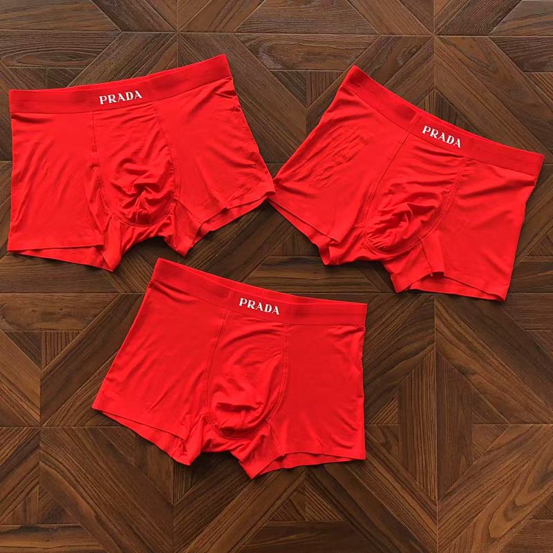 PRADA UNDERPANTS (2)