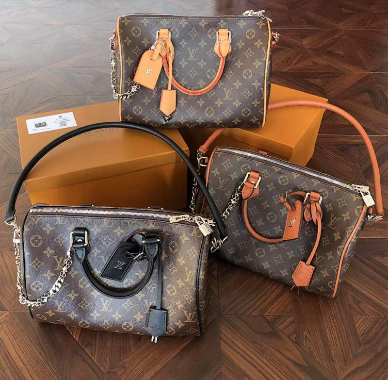 LOUIS VUITTON BAGS (32)