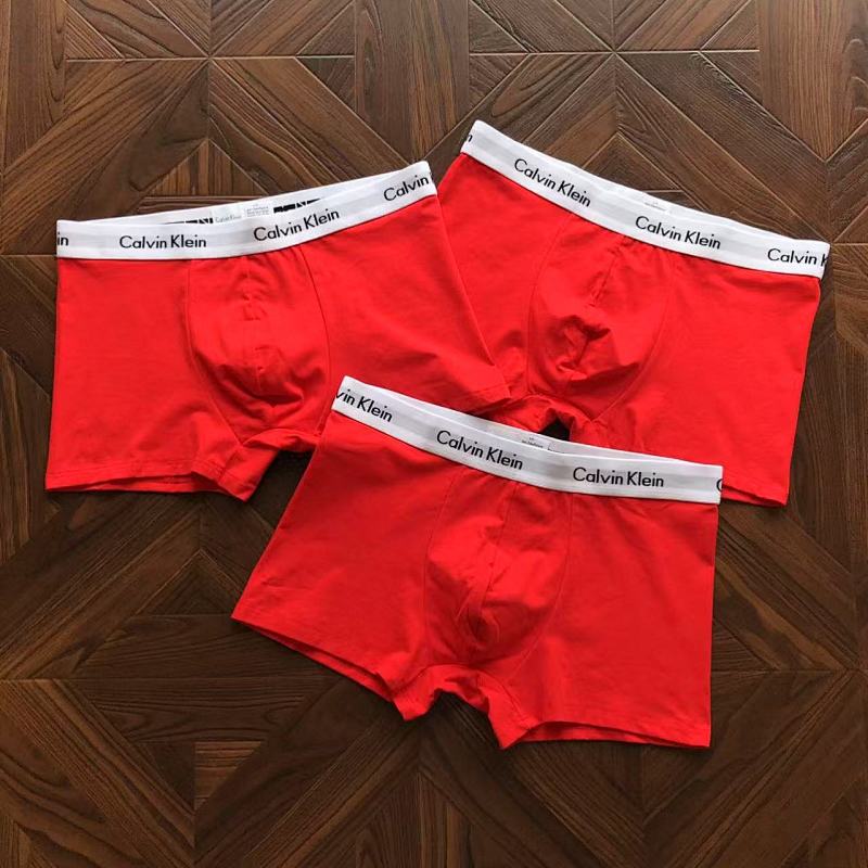 CALVIN KELIN UNDERPANTS (31)