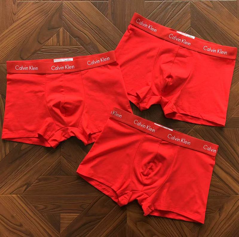 CALVIN KELIN UNDERPANTS (39)