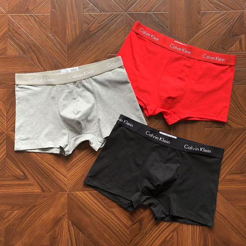 CALVIN KELIN UNDERPANTS (21)