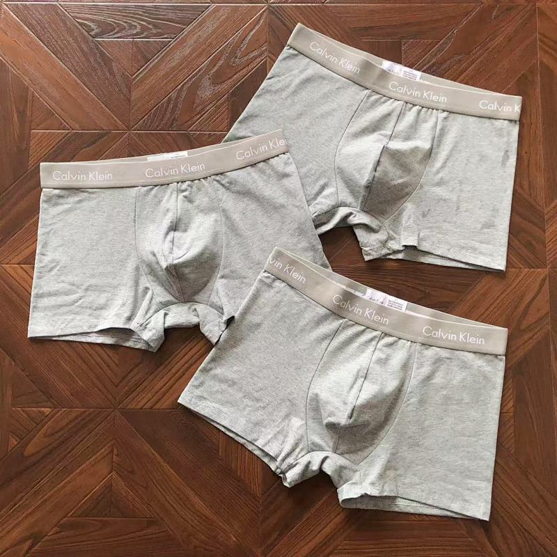 CALVIN KELIN UNDERPANTS (16)
