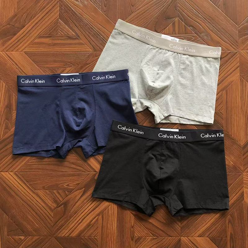 CALVIN KELIN UNDERPANTS (41)