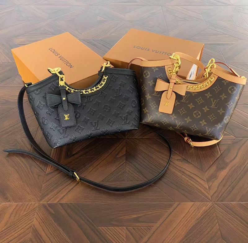 LOUIS VUITTON BAGS (19)