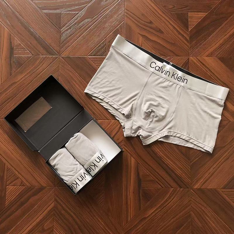 CALVIN KELIN UNDERPANTS (38)