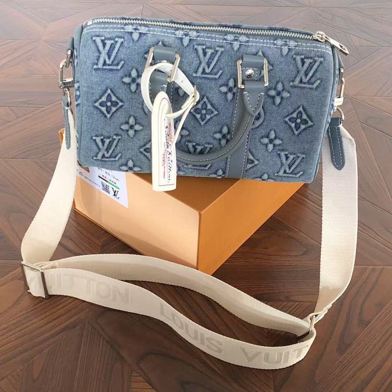 LOUIS VUITTON BAGS (17)