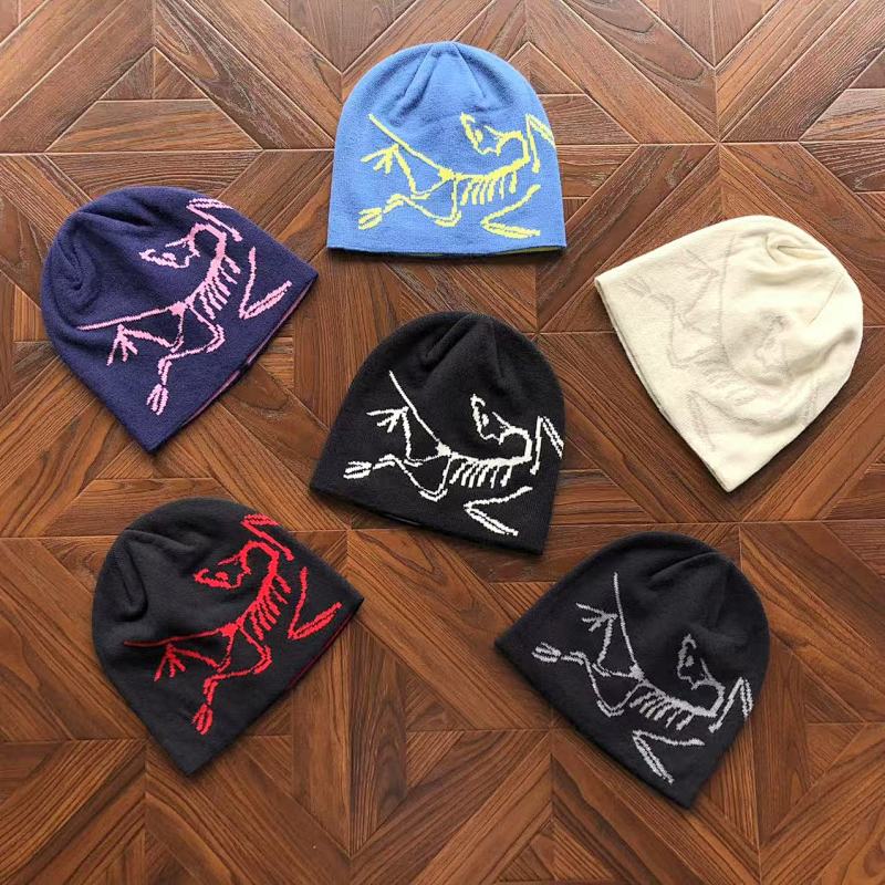 ARC'TERYX CAPS (15)