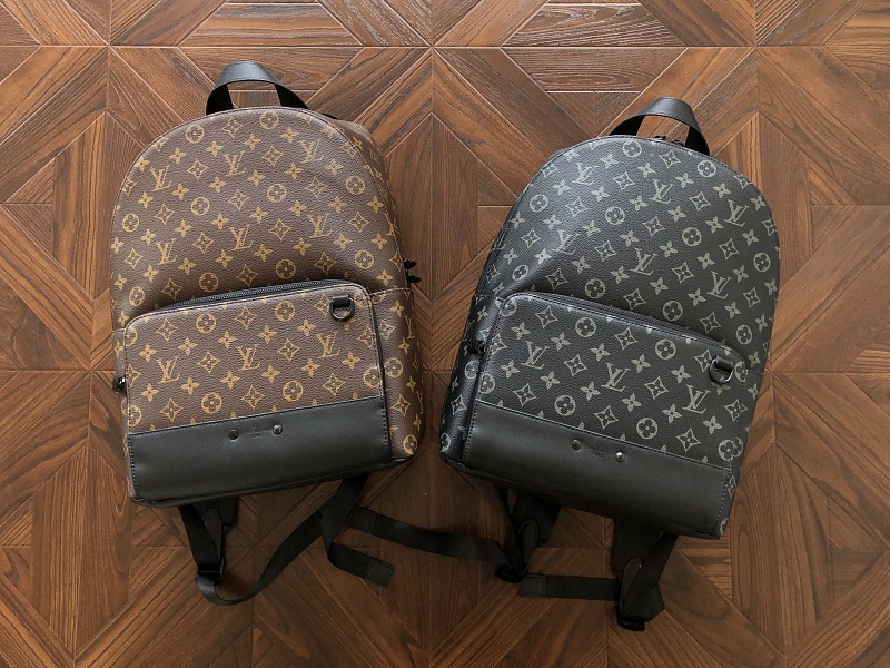 LOUIS VUITTON BAGS (2)