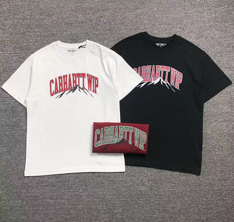 CARHARTT TSHIRTS (101)