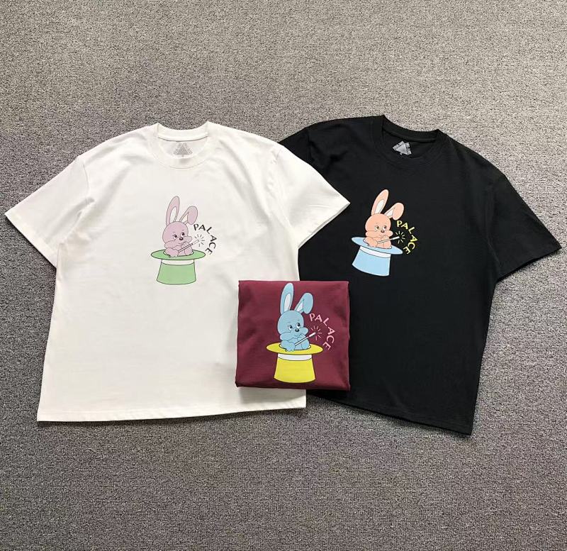 PALACE TSHIRTS (110)