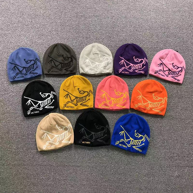 ARC TERYX HATS (20)
