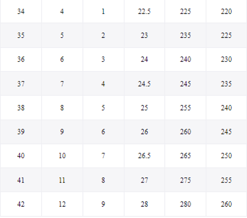 BALENCIAGA SNEAKERS (12)