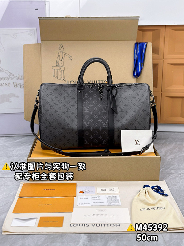 LOUIS VUITTON BAGS (22)