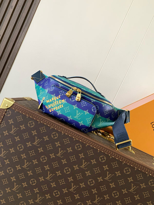 LOUIS VUITTON BAGS (17)