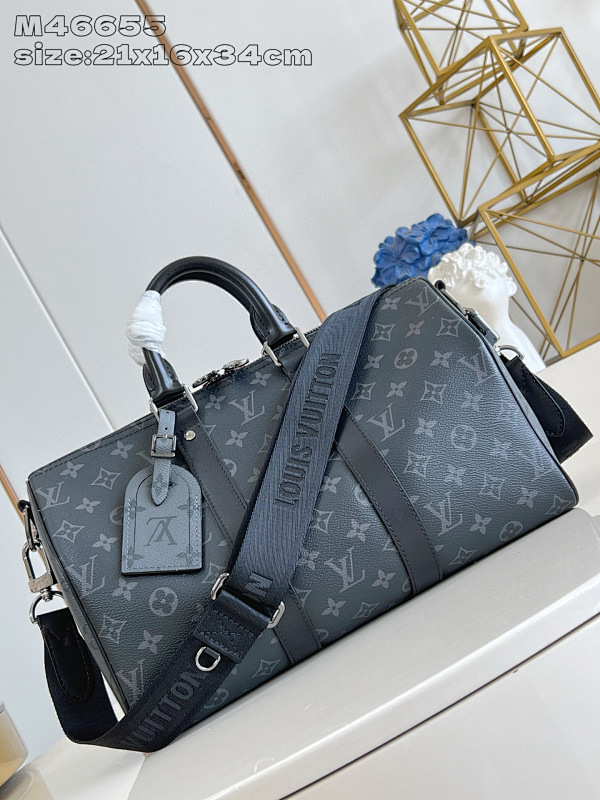 LOUIS VUITTON BAGS (19)