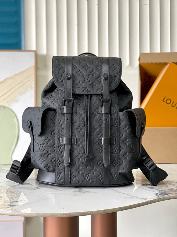 LOUIS VUITTON BAGS (8)