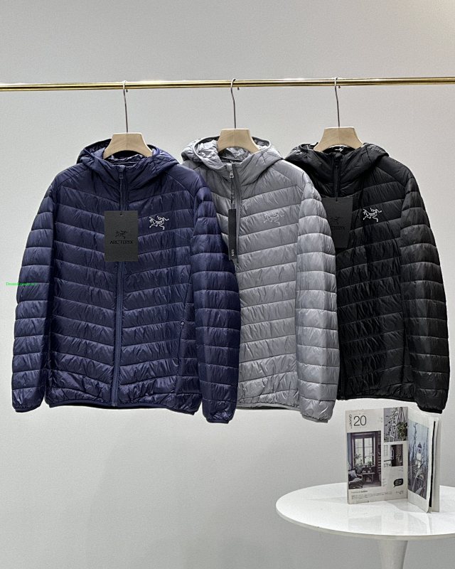 ARCTERYX JACKETS (79)