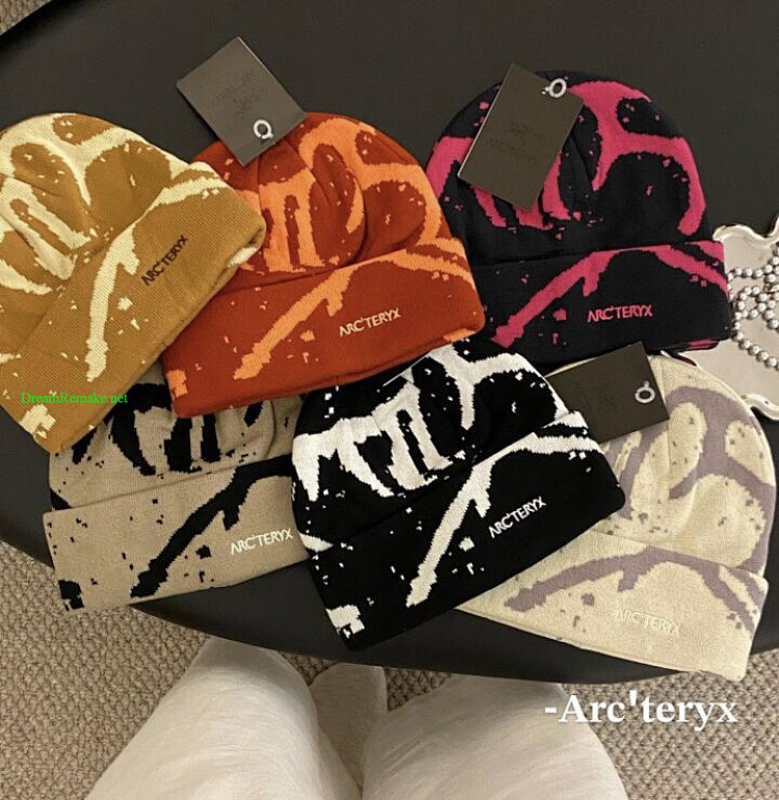 ARC TERYX PANTS (24)