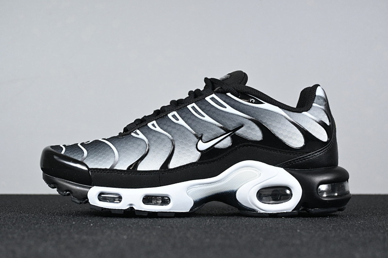 KZ BATCH AIR MAX TN (2)