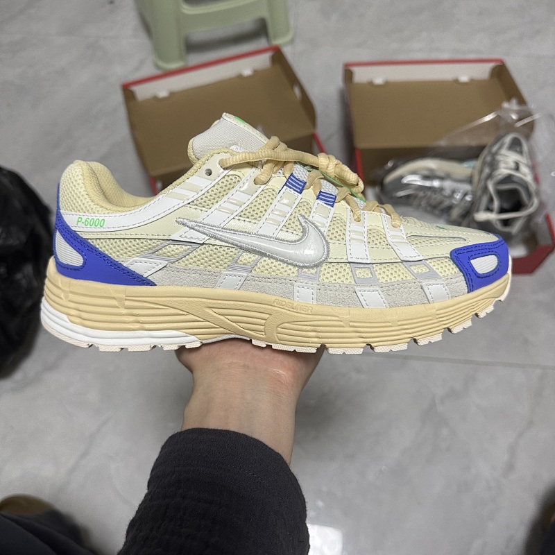 P6000 (7)