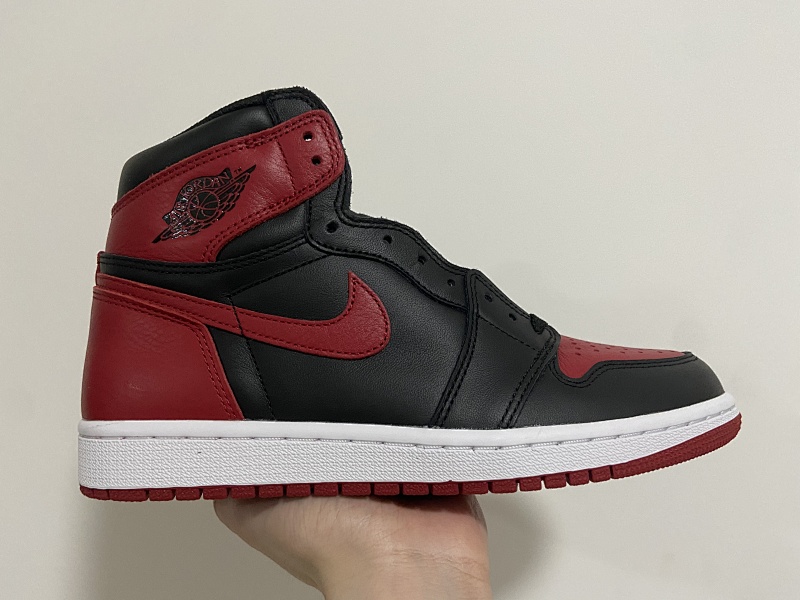 ljr aj1 (2)