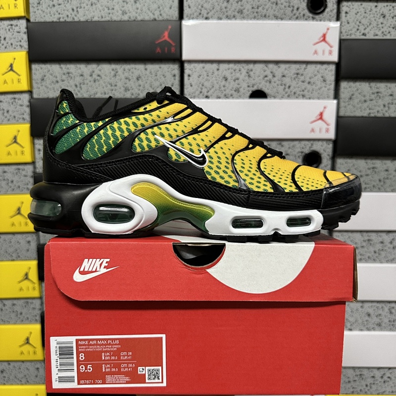 NIKE AIRMAX TN (14)