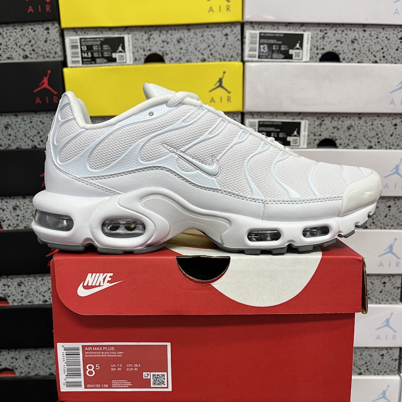 NIKE AIRMAX TN (18)